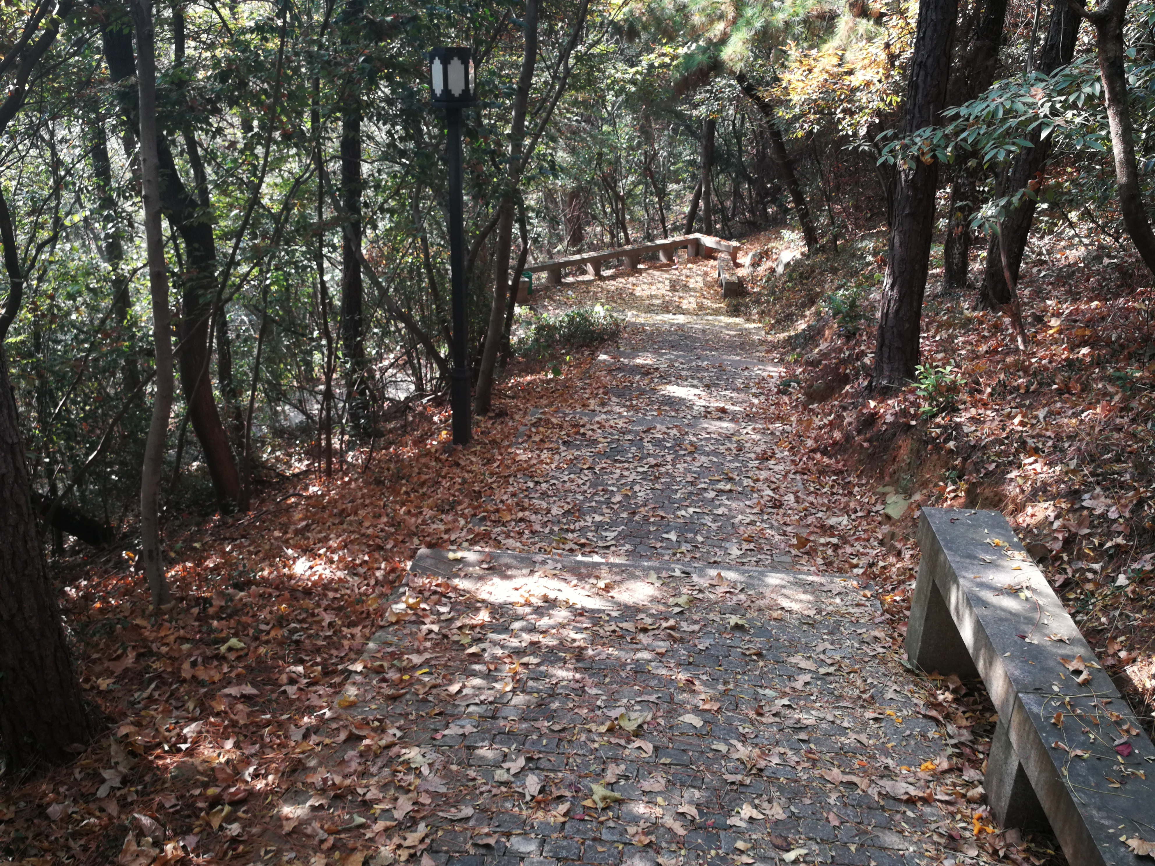 苏州上方山森林公园项目,苏州上方山森林公园好吗