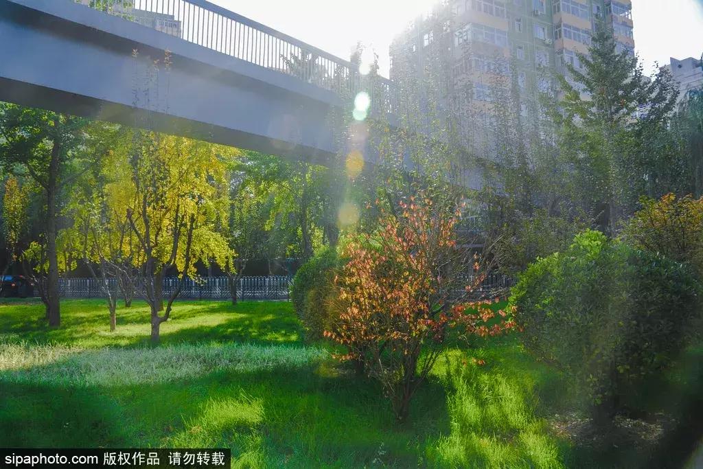 周末北京这些值得去的地方,北京周末来这儿玩