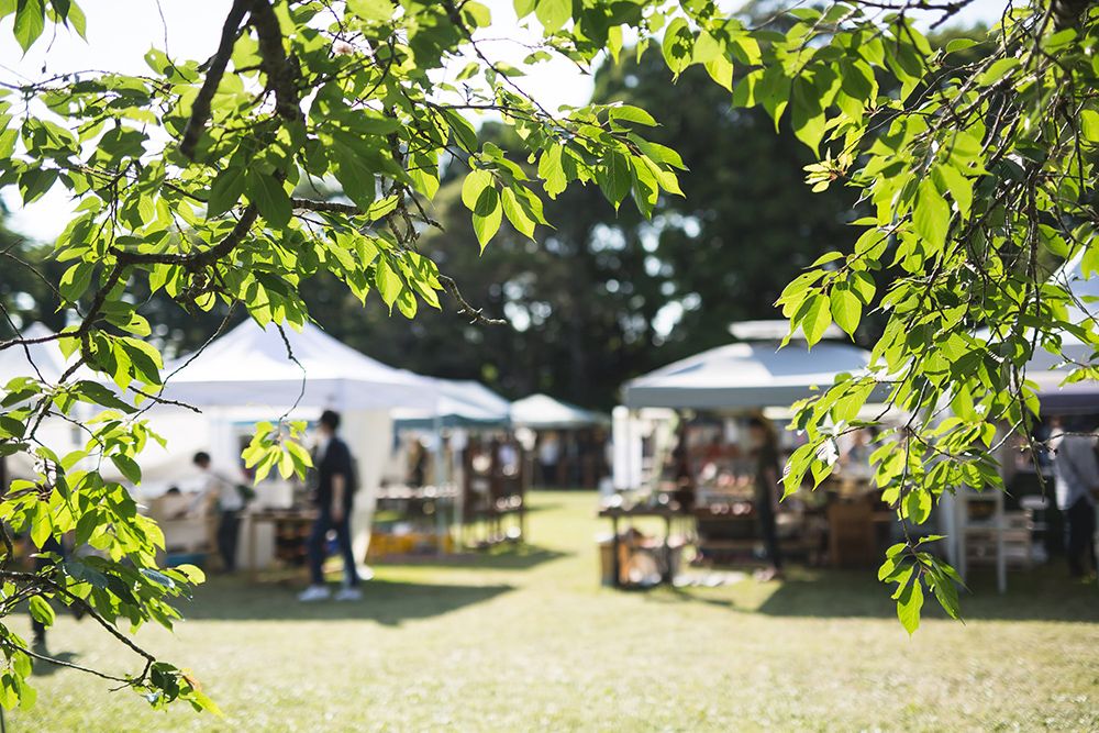 日本陶器底款有哪些 (日本龙谷窑陶器)