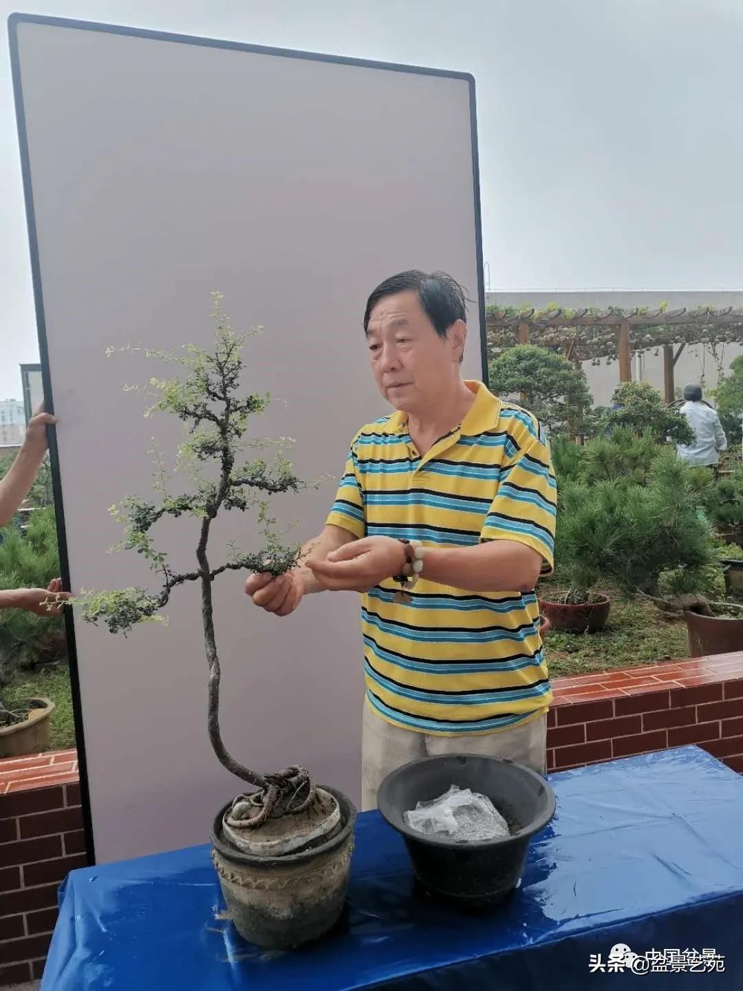 涓浗钁楀悕鐩嗘櫙澶у笀绮惧搧鐩嗘櫙,鐩嗘櫙鑹烘湳瀹跺拰鐩嗘櫙鑹烘湳澶у笀