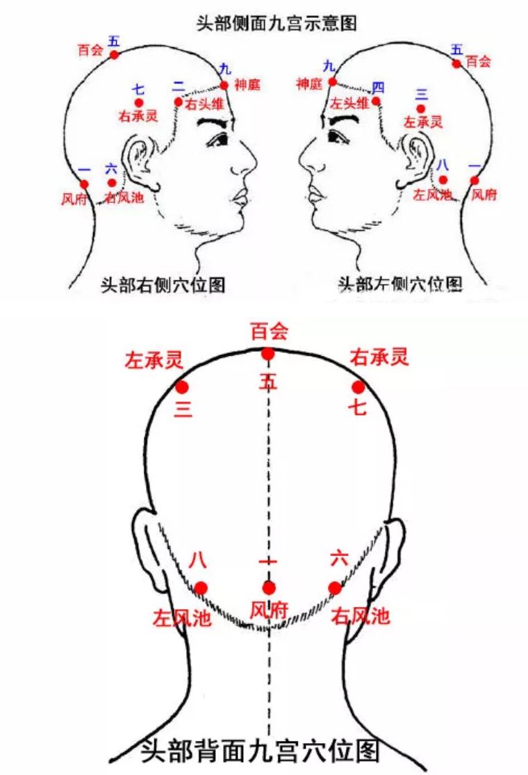 中医秘传按摩绝招,失传已久的神奇按摩方法