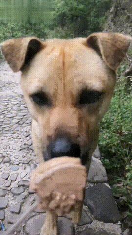 gif搞笑动图足球,搞笑足球动图gif