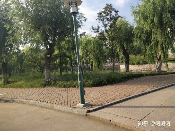 青岛农业大学机械类在哪里就读,青岛农业大学在哪里读