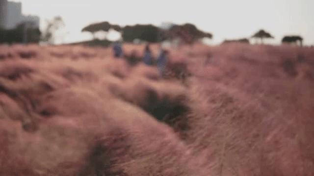 6号线都有什么景点,六号线能去的免费景点