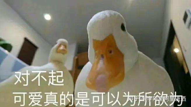 撩妹情话最暖小视频,撩妹暖心的手段