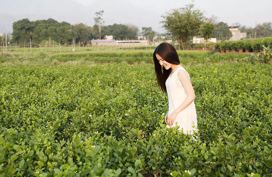 神仙水的替代护肤品,松赞和安缦