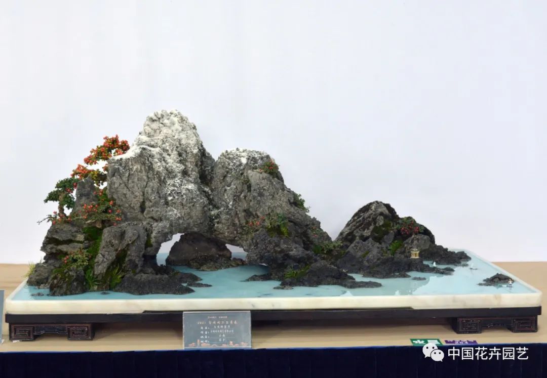 2021第三届中国盆景展,盆景展览会精品展