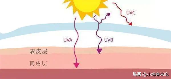 隔离和防晒真的很重要,防晒和隔离到底哪个重要