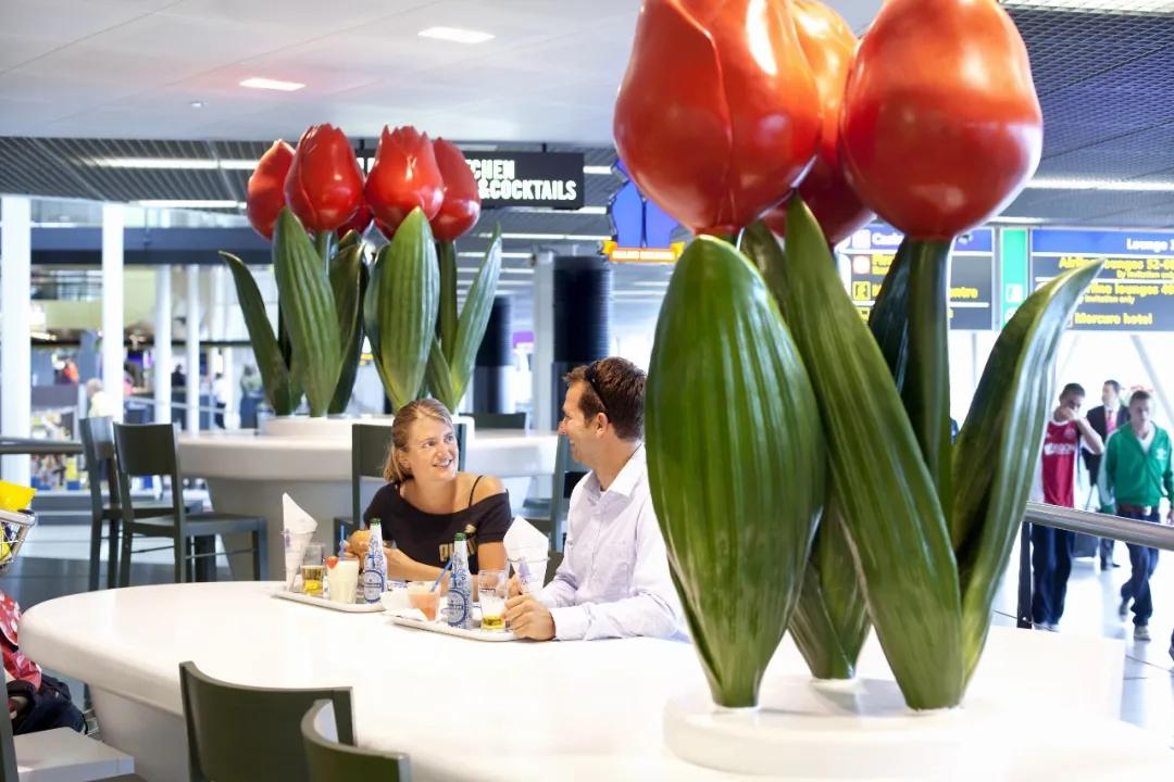 一文读懂商业模式全集,荷兰物流运作方案