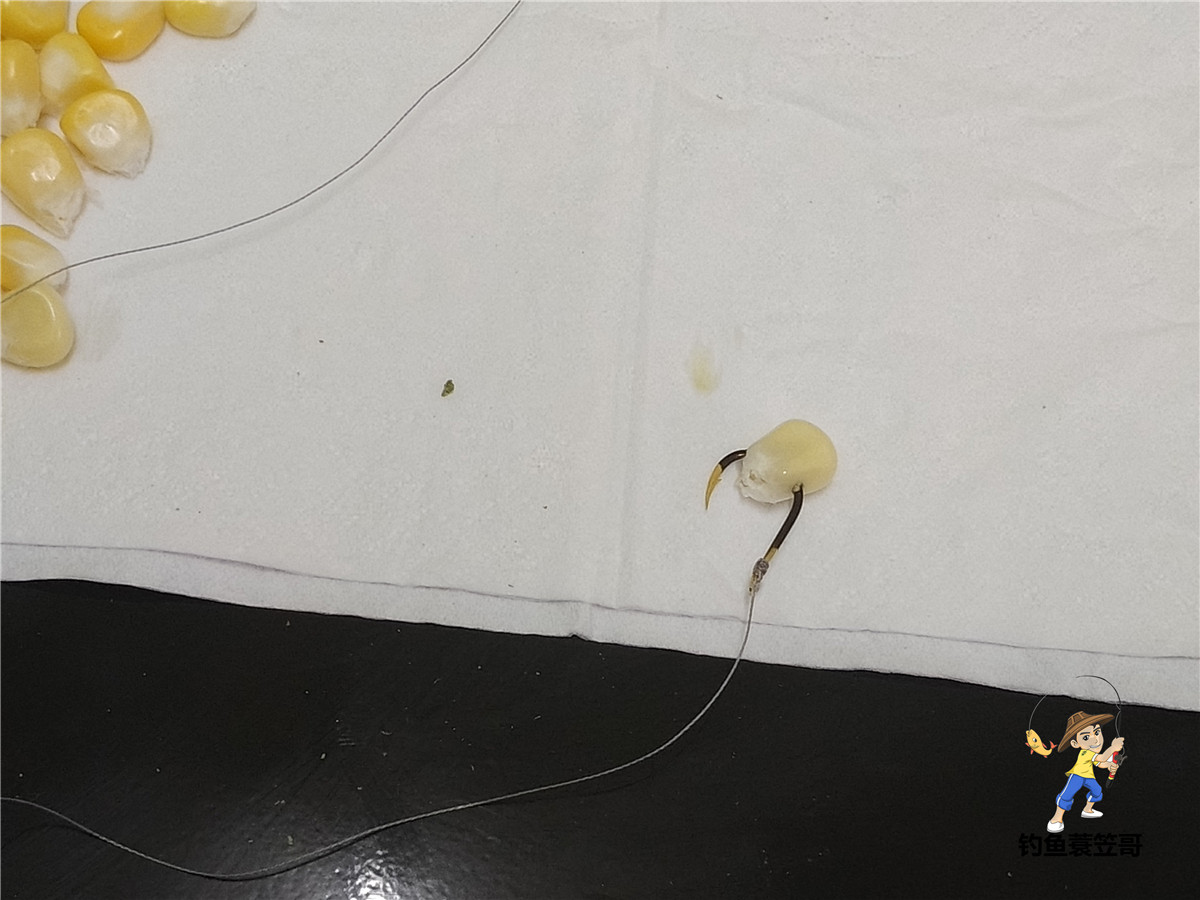 单竿单钩钓鱼可以在禁钓区钓鱼吗,禁钓区域可以钓单线单钩吗