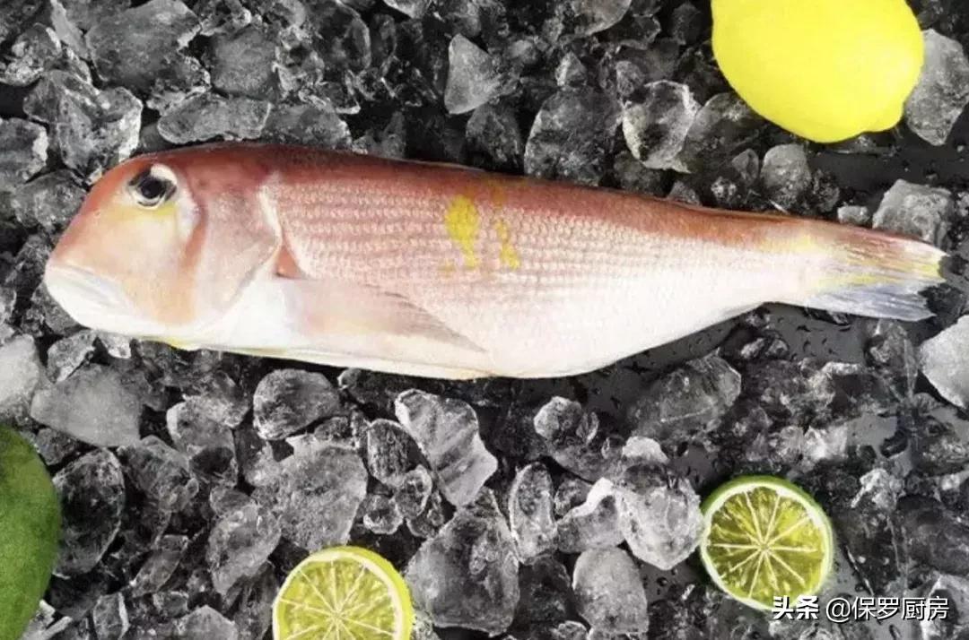 海鲜大荟萃,常见贝壳类海鲜