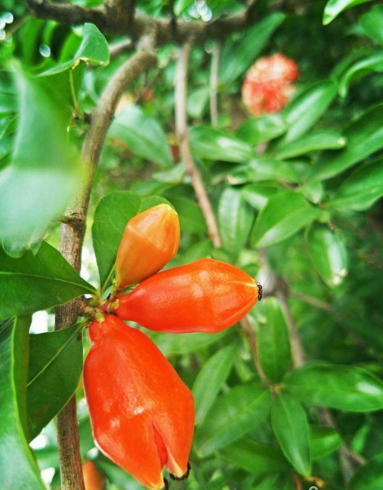 临颍：摄影家大咖走进三高，现场传授摄影秘籍