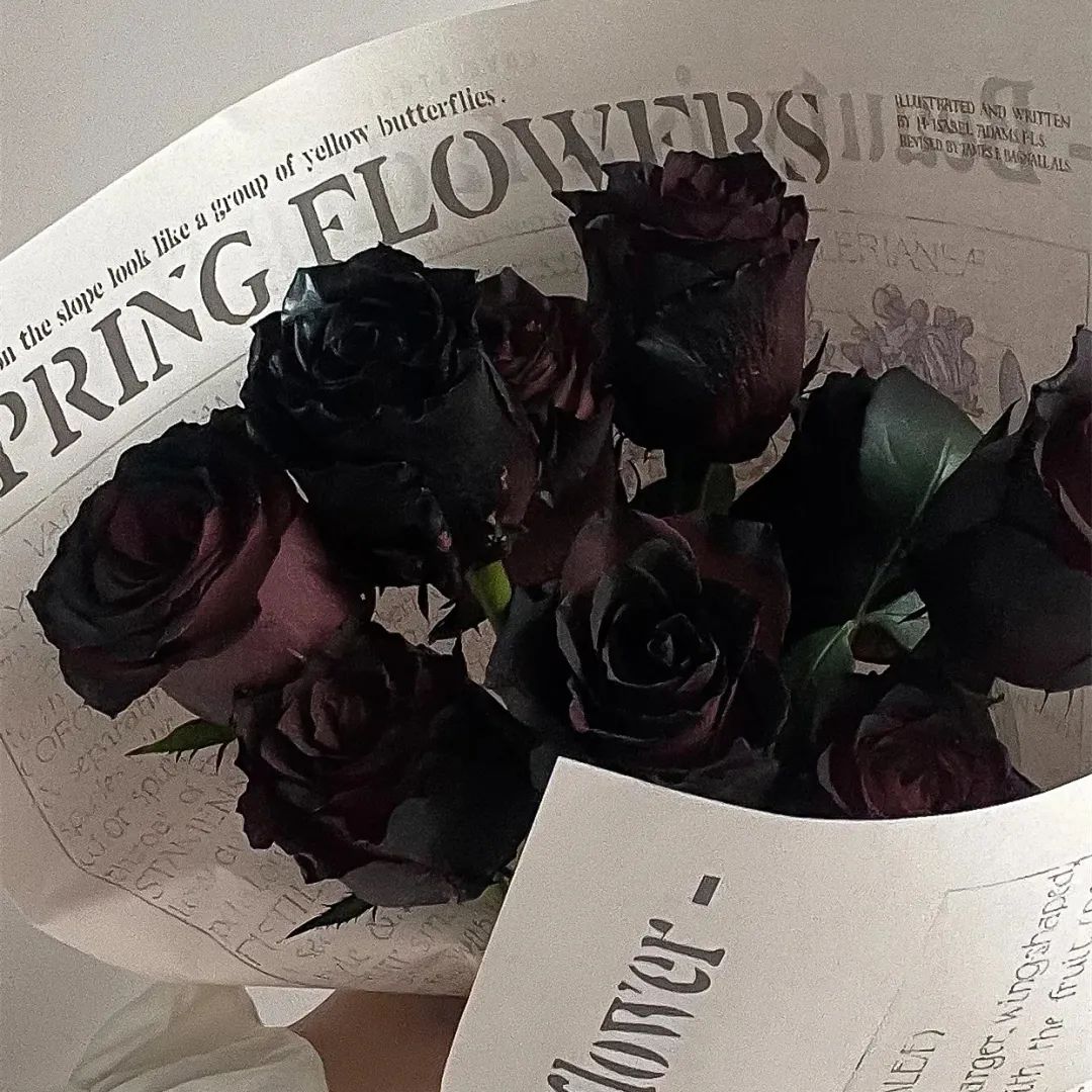 网红爆款喷花,网红喷花系列