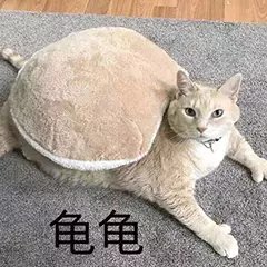 csgo皮肤不使用问题,csgo皮肤没有怎么办