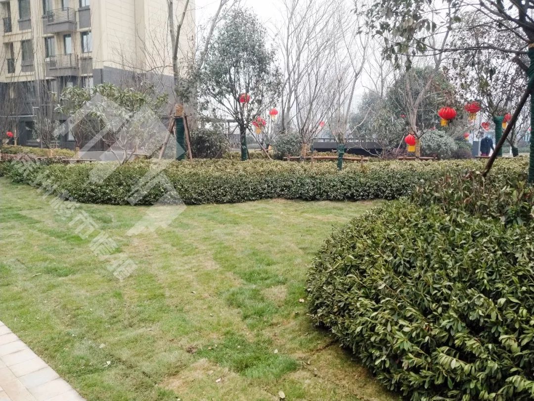 徐州东区房价,徐州东区大黄山房价