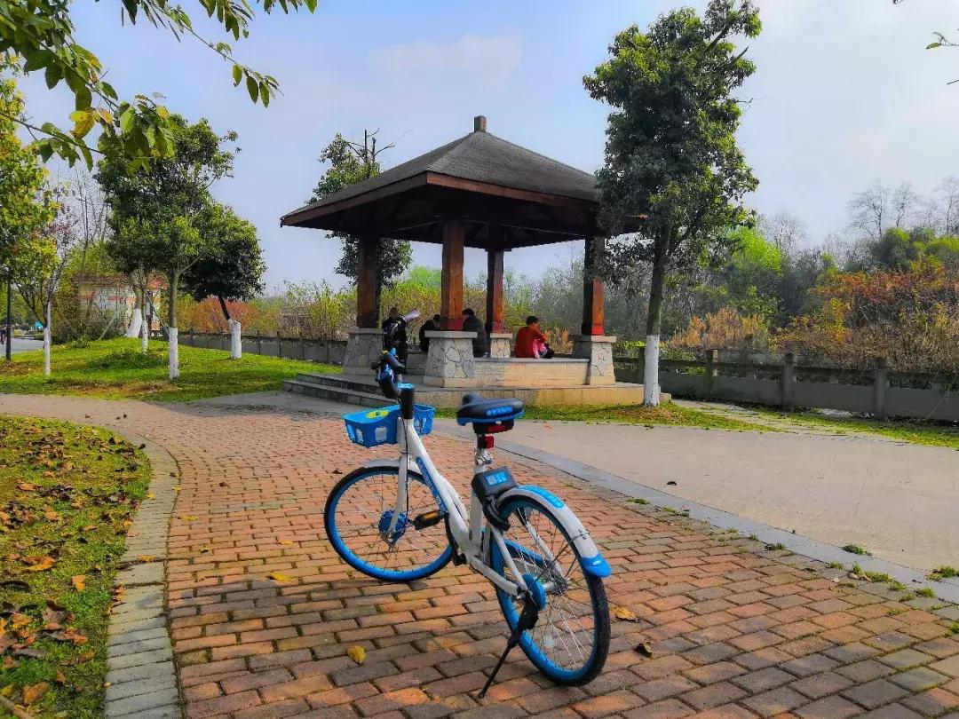 都江堰天府绿道骑行路线图,都江堰周边最美骑行路线