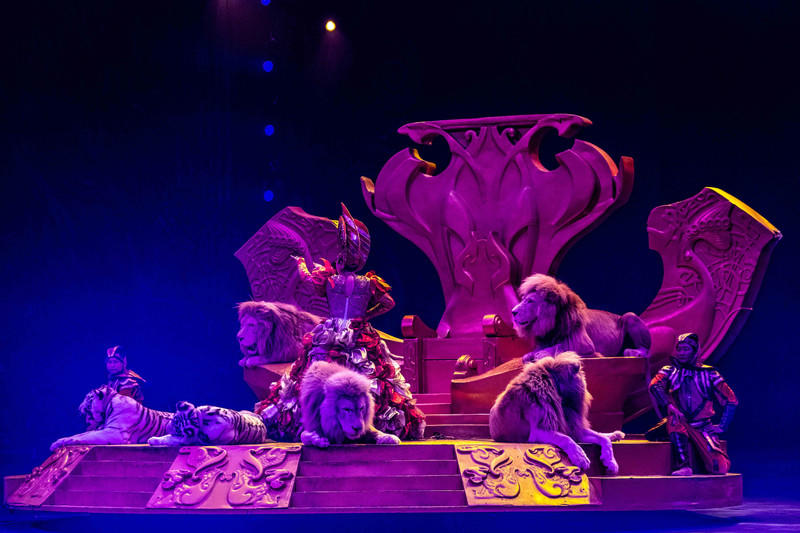 广州长隆野生动物世界的游玩攻略,广州长隆野生动物世界一日游回顾