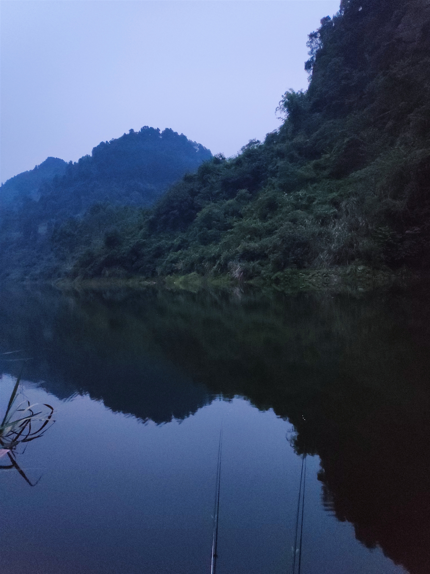 成都周边能钓鲢鳙的钓点有哪些,泗门朗霞附近野钓鲢鳙的地方