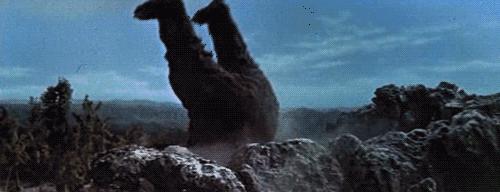 金刚和哥斯拉打最厉害的怪兽,金刚揍哥斯拉