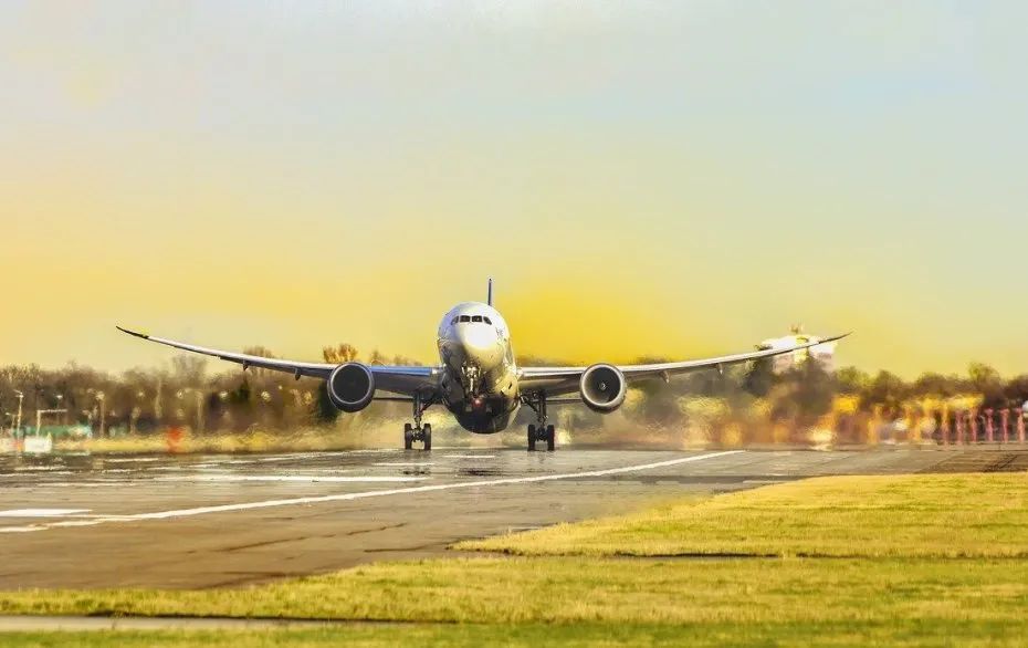 加拿大华裔女孩回国,加拿大女孩回国被取消航班