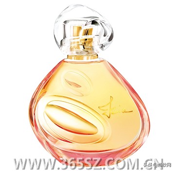 老司机带你飞原文,老司机带你飞英文版