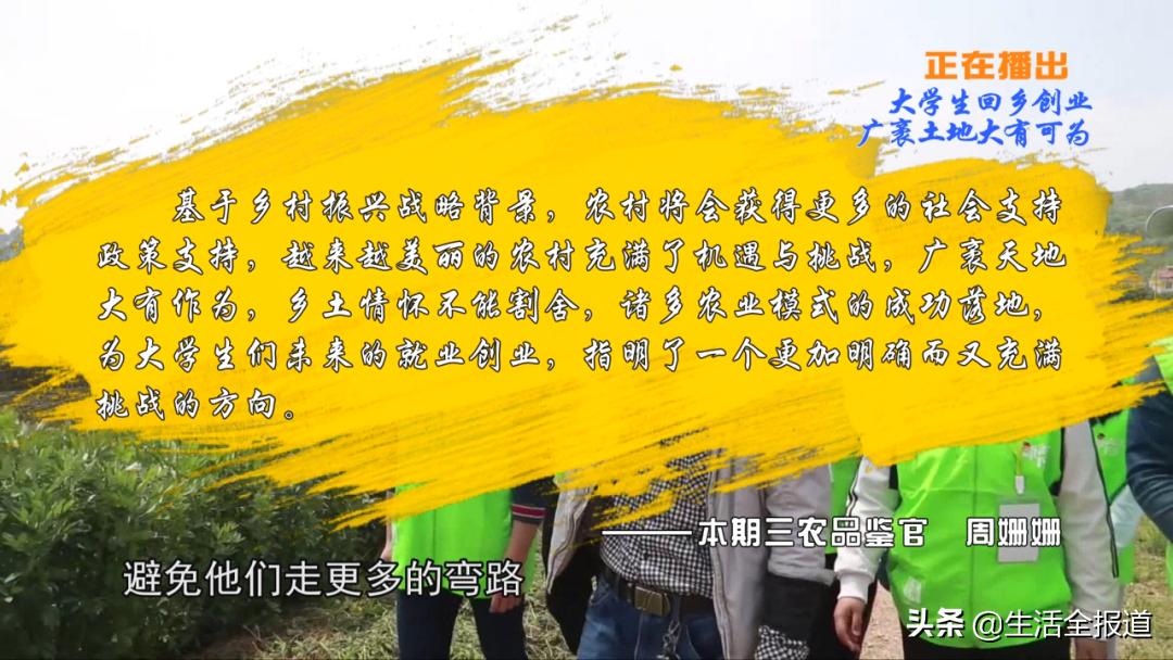 三农青年创业,返乡创业青年记录真实生活三农
