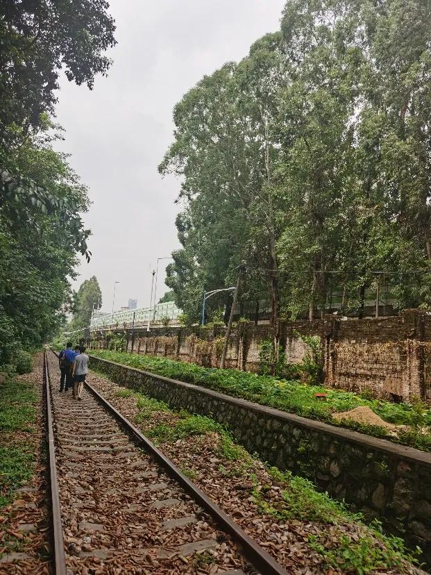 天河|有求必应：华景新城旁铁路违建窝棚已拆除