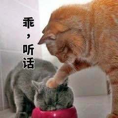 脸上有各种色斑怎么办,脸上有色斑怎么解决