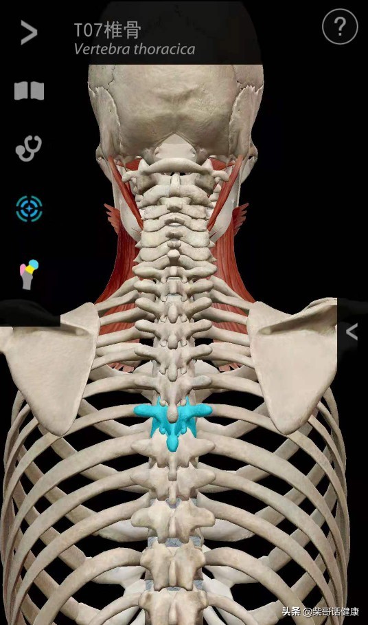 用3D来脊柱体表定位简单多了
