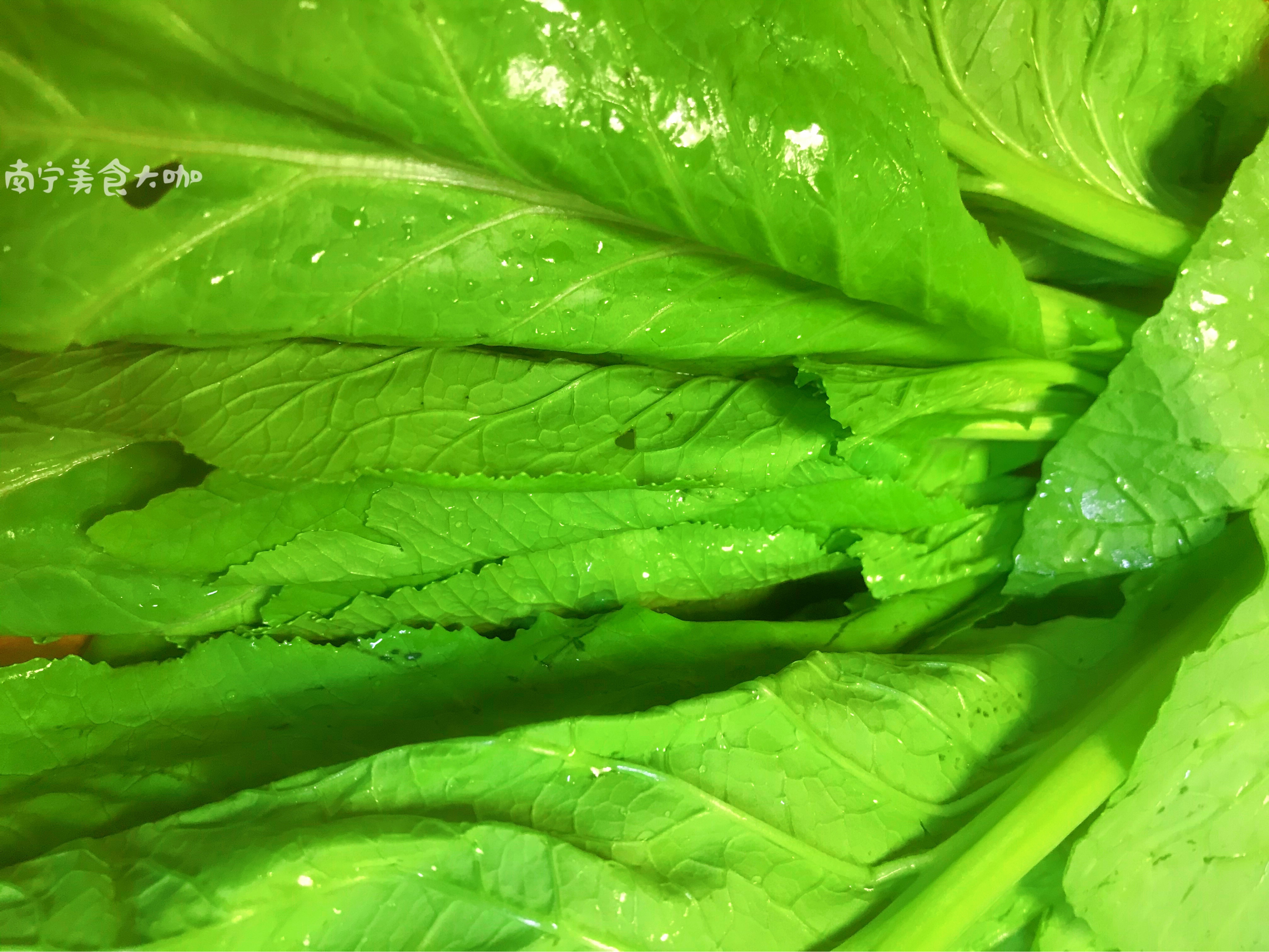 车螺怎么吐沙,怎样使白车螺快速吐沙