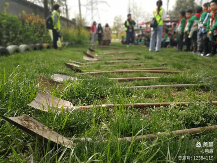 农场体验田园生活捡鸡蛋,农场种菜研学活动的收获和感悟