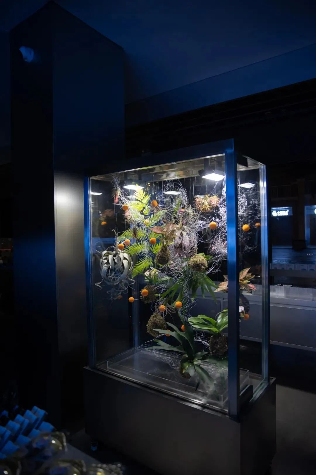 广州、武汉惊现“黑洞”，被“吸”进的消费者几乎没人空手而出