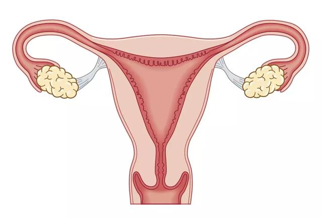 每个月出血也打不倒的你：要注意了！这样的出血不正常