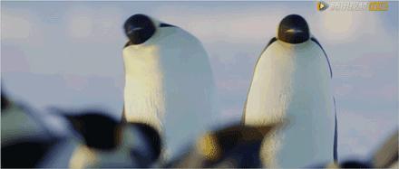 假期儿童纪录片推荐经典,青少年假期推荐纪录片