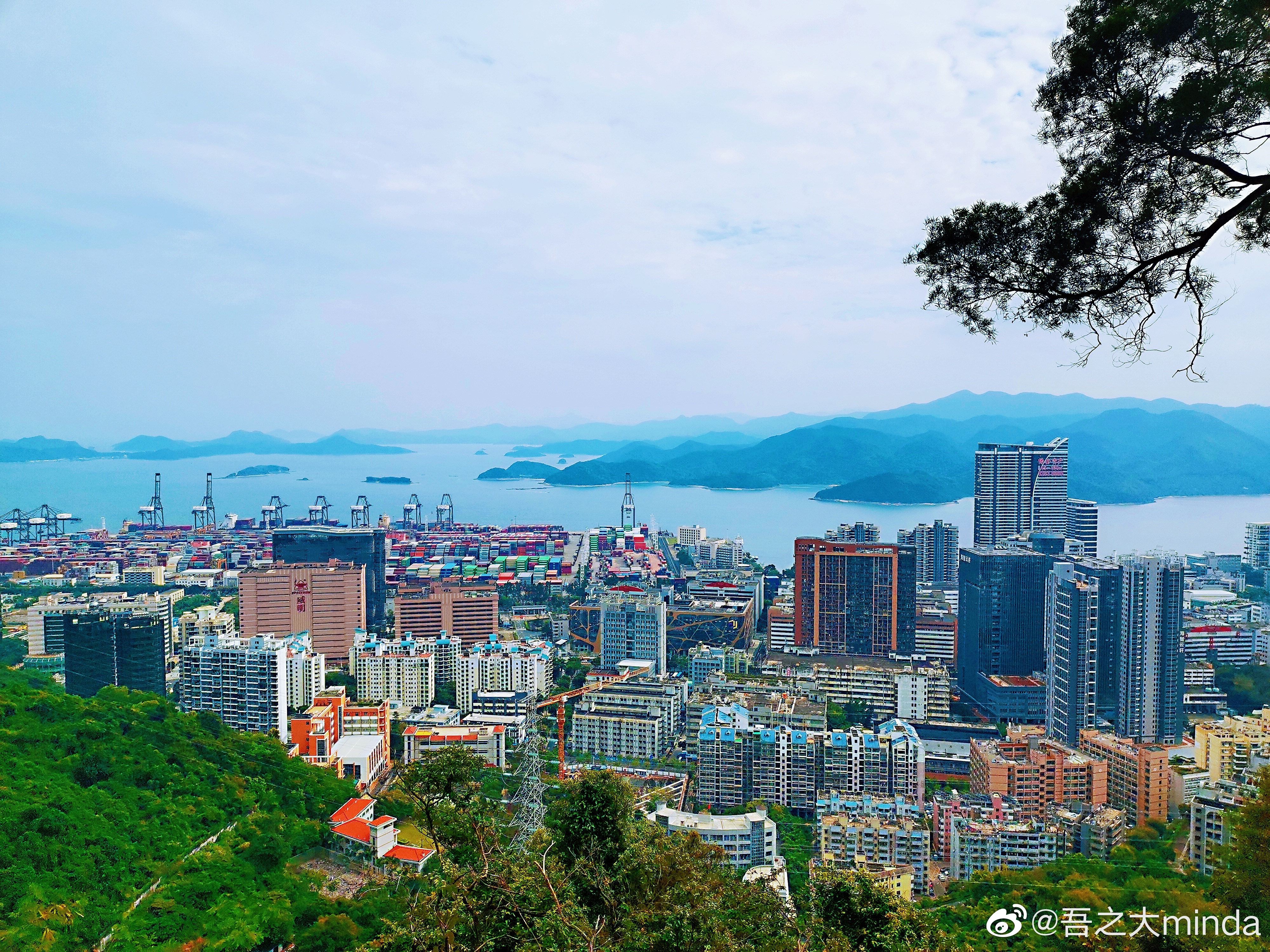 梧桐山下幽径,梧桐山下清风明月