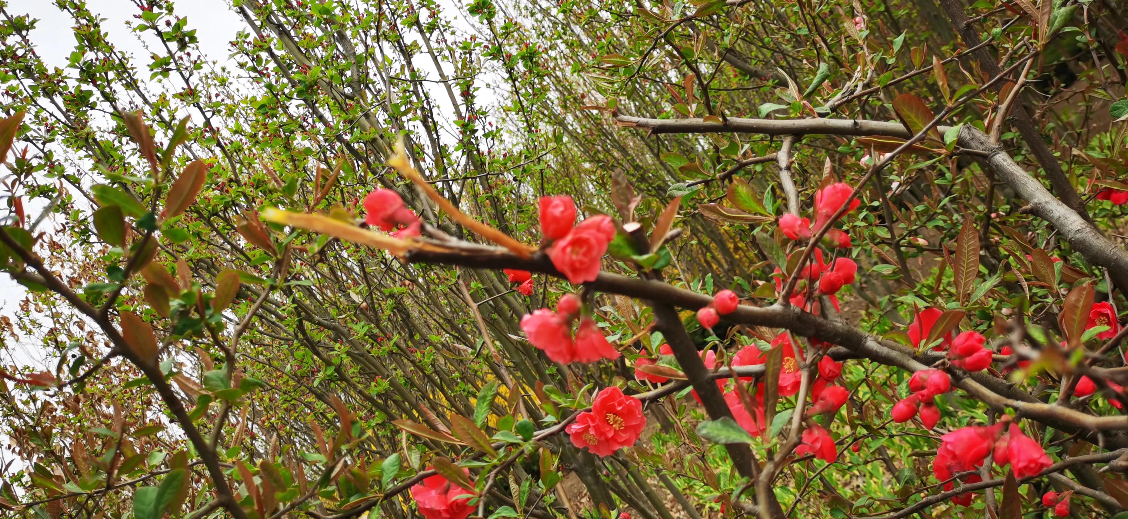 药品价格差异为什么这么大,药品的价格跟功效一样吗