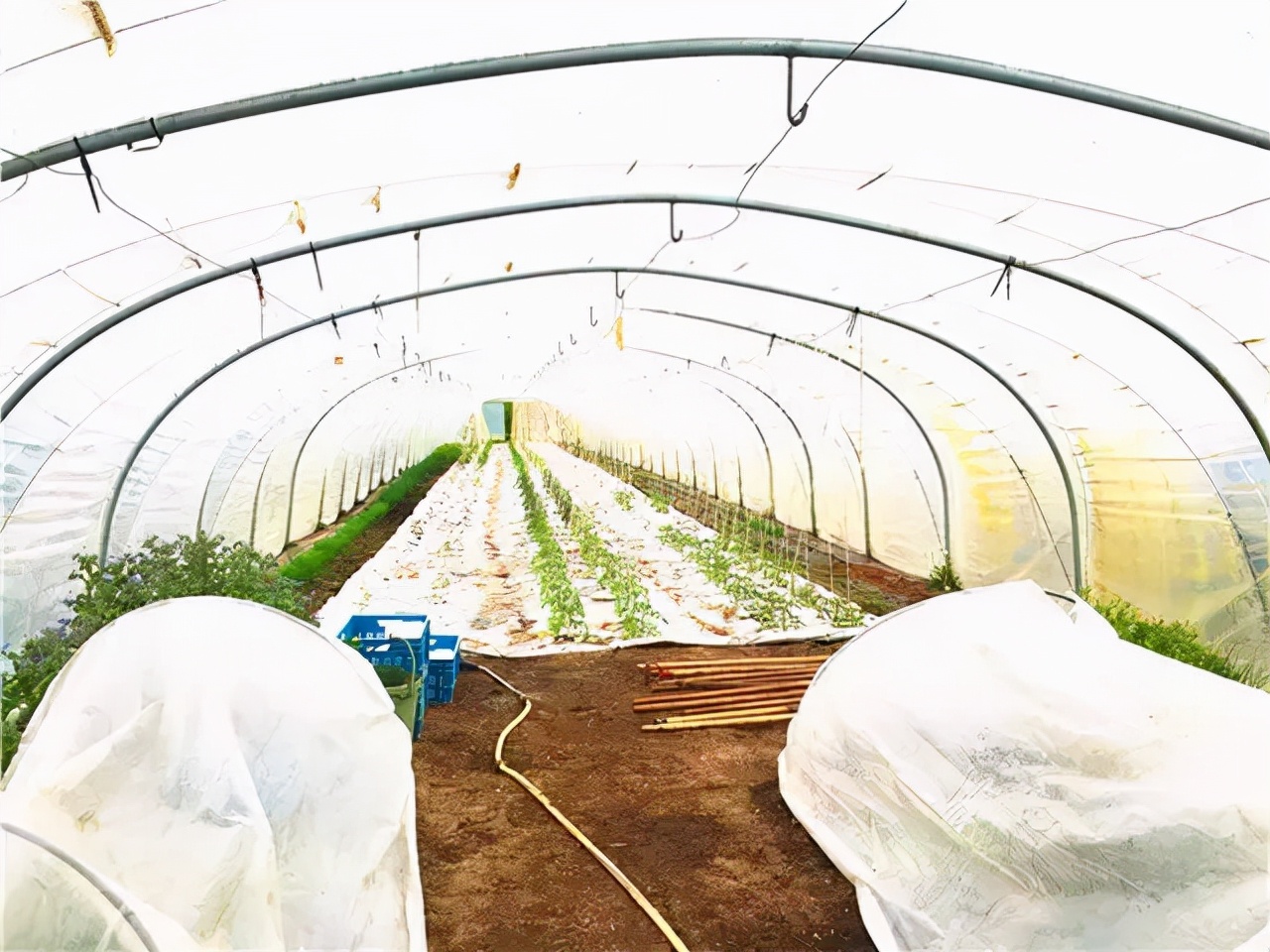 米其林餐厅三星美食试吃,米其林三星餐厅3000块能吃多少