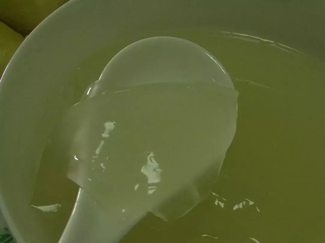 盛夏，一起品薜荔之文化，尝木莲之美味