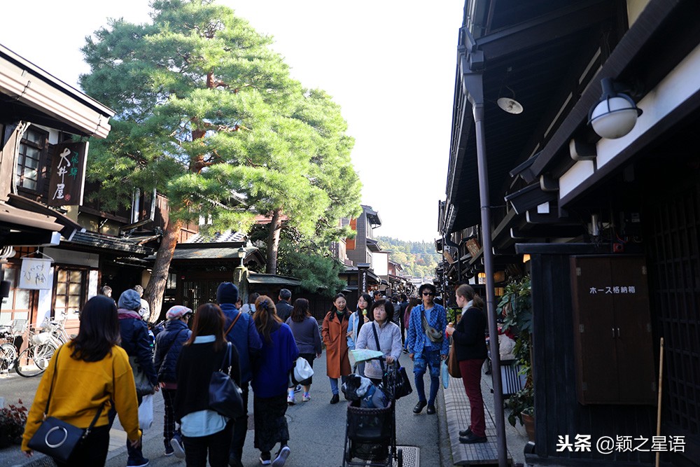 几千块的日本电饭煲,国产锅日本锅