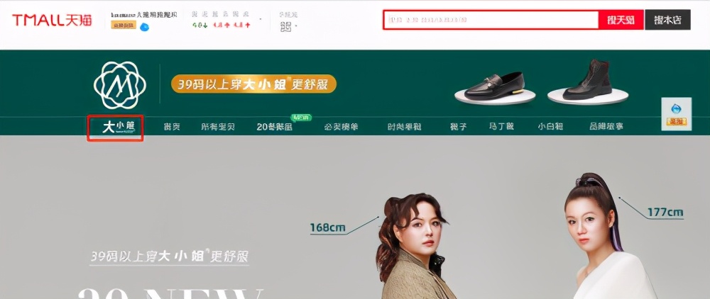 女鞋单鞋新款大码怎么选择,大码女鞋什么牌子好穿