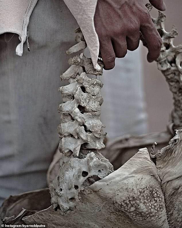 印尼富二代儿童包包,印尼富二代做脊骨包视频