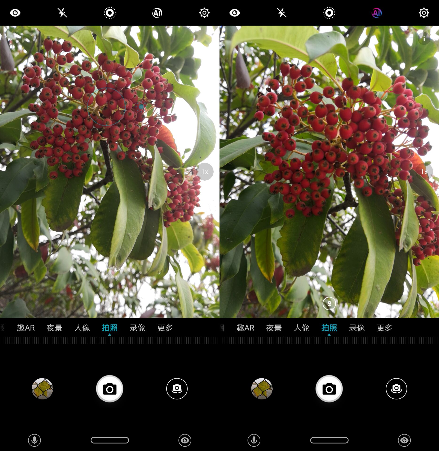 荣耀play5t和畅玩20哪个性价比高,荣耀play2019年还值得入手嘛