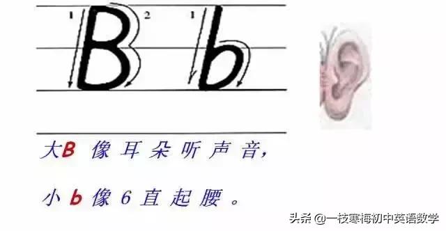 26个大写拼音字母背诵口诀,26个字母的正确书写技巧