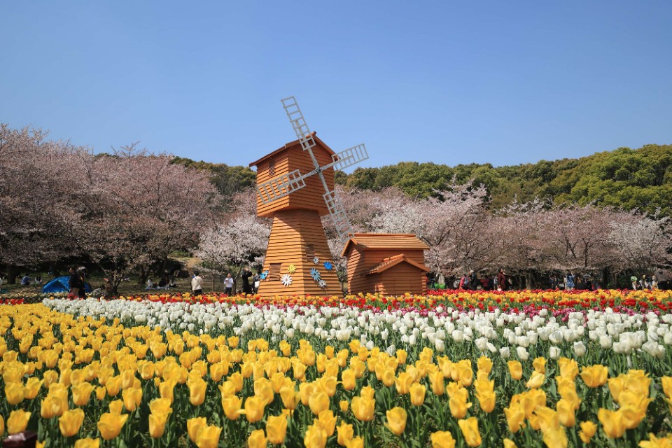 苏州上方山森林公园景点介绍,苏州市上方山森林公园攻略