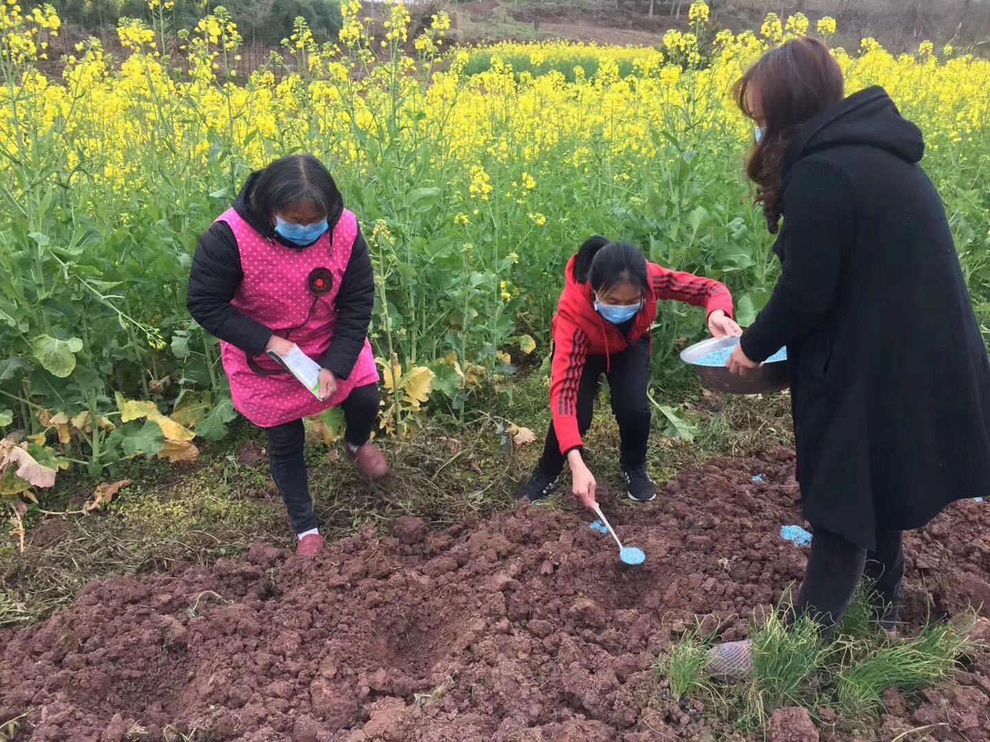 铁娘子撑起社区抗疫半边天,四川铁娘子朋友圈