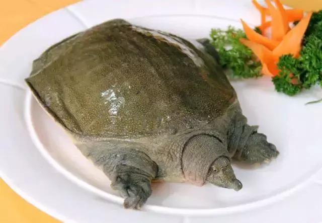 防城港怎么吃海鲜便宜不被坑,防城港干货海鲜有哪些