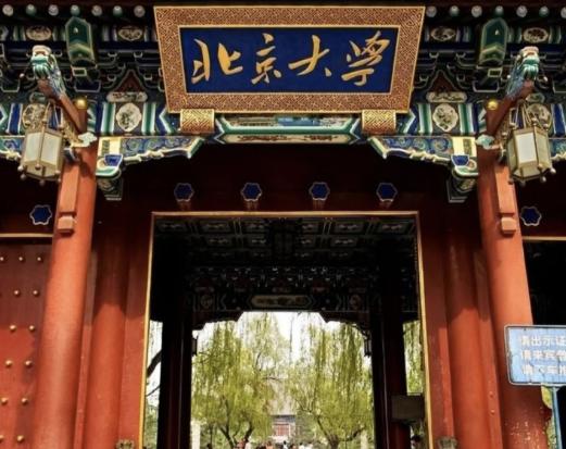 北大博导学历遭学生嫌弃后续,北大学历被质疑的女教授