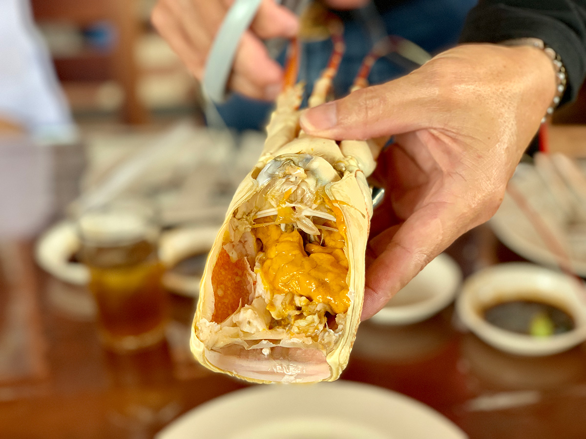 吉隆坡马六甲新山路线如何走,马来西亚新马泰旅游攻略