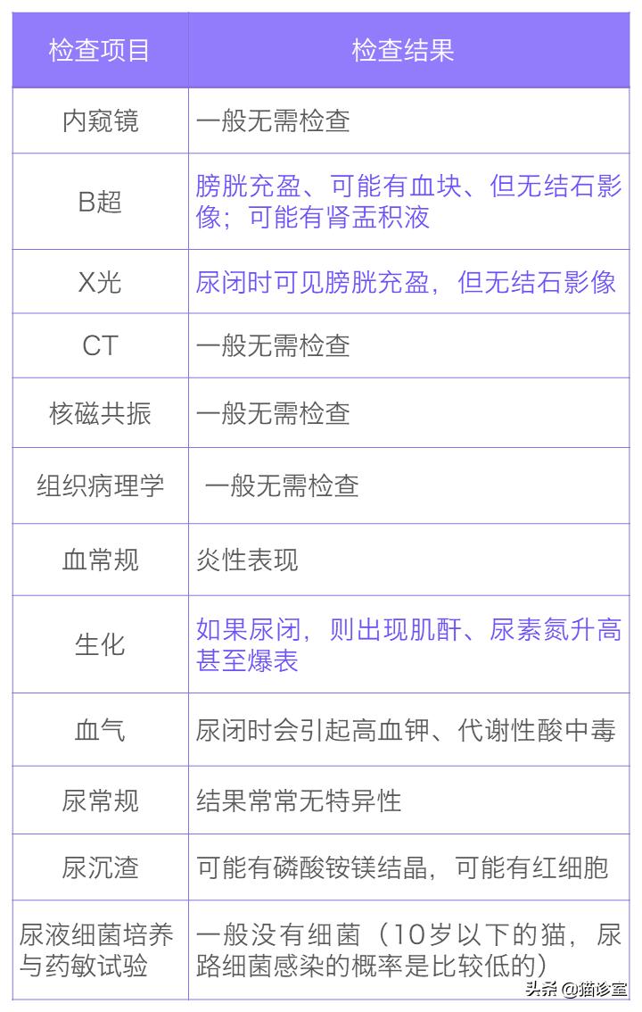 猫膀胱炎吃什么药最见效,猫膀胱炎多喝水能自愈吗