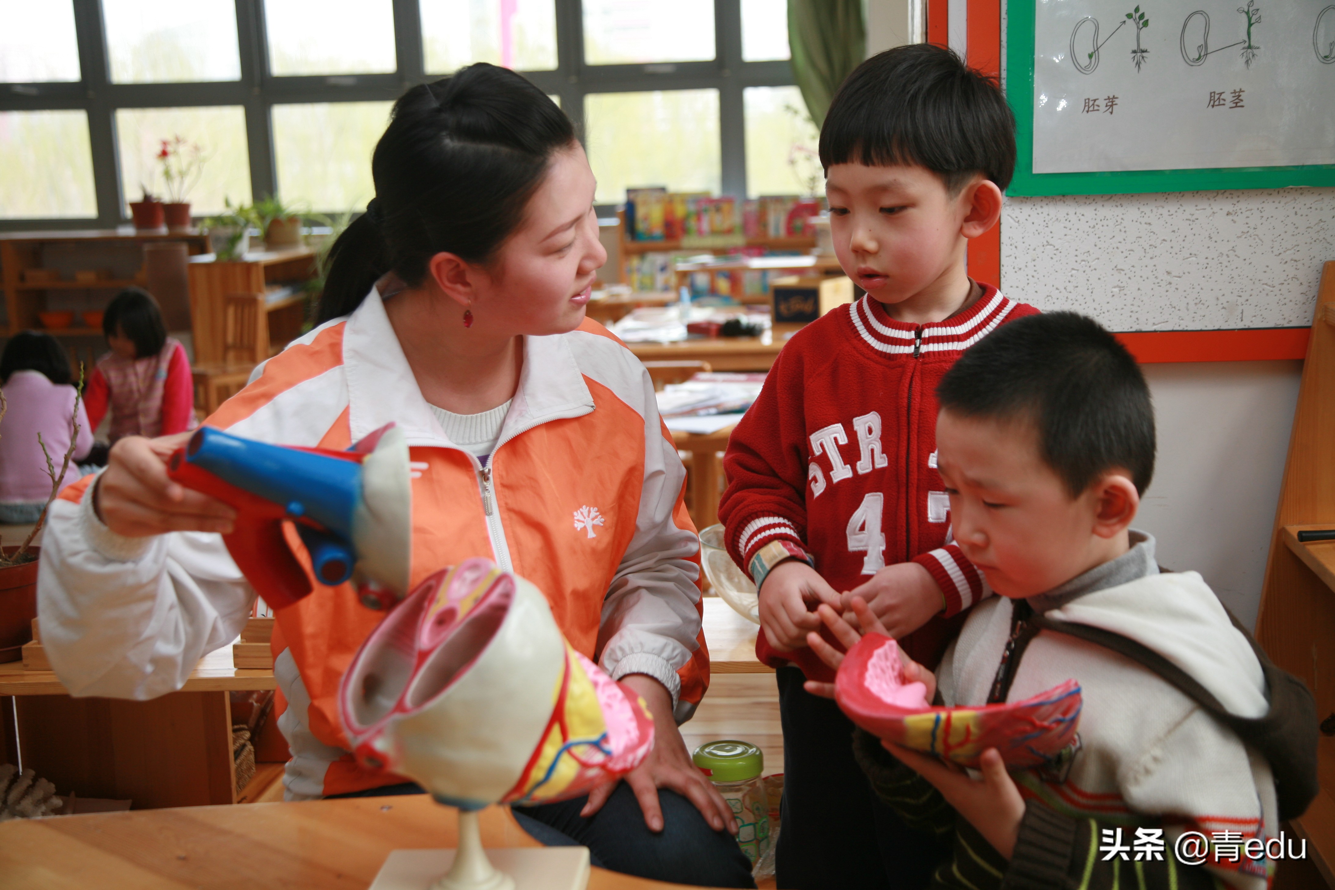 普惠性幼儿园对家长的好处,普惠性幼儿园学费